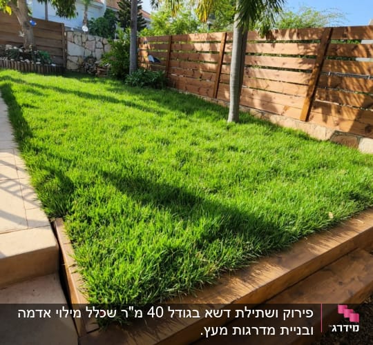 דשא ירוק עם עצים וגדר עץ בגינה
